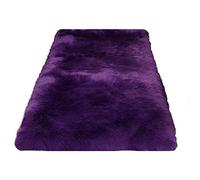 MEVZHH Alfombras, Alfombraluda Extra Suave de Lujo Alfombraluda Gruesa para la Decoración Del Hogar Cozy Alfombra Marrón Área para Dormitorio Y Sala de Estar 71X28 Pulgadas Alfombra Interior/E/W80 * L