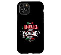 Mexican Slang Funny Spanish Word Humor Dichos Mexicano Carcasa para iPhone 11 Pro