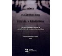 México Vulnerabilidad social y pandemia. Perspectivas para pensar la redefinición de los derechos sociales