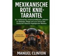 MEXIKANISCHE ROTE KNIE-TARANTEL: Ein umfassender wissenschaftlicher Leitfaden zur Biologie, Pflege und zum Schutz der ikonischen Rotknie-Vogelspinnen Mexikos