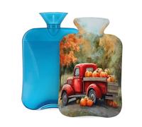 Mexpekil Botella de agua caliente con funda de franela suave, bolsa grande de agua caliente de 2 litros para aliviar el dolor, manos cálidas, pies y cuerpo, regalo ideal para adultos y niños (paisaje