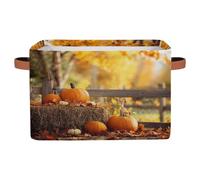 Mexpekil Cajas de almacenamiento para estantes con asa, cestas de almacenamiento plegables, escena de otoño, hojas, calabazas, cestas de almacenamiento de juguetes, organizador para el hogar