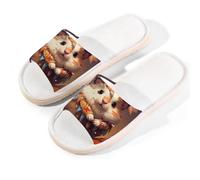 Mexpekil Lindas pantuflas de hámster para mujeres y hombres, diseño étnico de dibujos animados de animales, zapatos de casa de verano de lino, multicolor, 6/6.5 UK Wide
