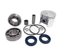 MEXWLOP Kit de Anillo de Pasador de pistón de 42,5mm, Juego de rodamiento de Bolas de cigüeñal con Sello de Aceite de rodamiento de Aguja, for Piezas de Motosierra, 025 MS250 MS 250 Kit de pistón par