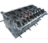 MEYER MOTOREN 013034250 Culata