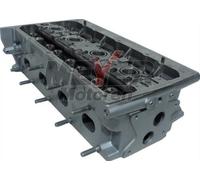 MEYER MOTOREN 013034980 Culata