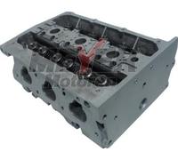 MEYER MOTOREN 013038360 Culata