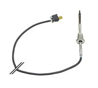 Escape > Captores de escape > Sensor, temperatura gas de escape