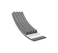 MEYLE 050 004 0950 Correa trapecial poli V Correa Poly V Correa poli V Correa de accesorios