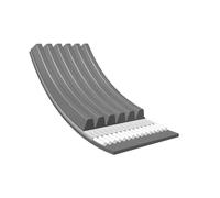 Meyle 050 006 1555 Correa trapecial poli V