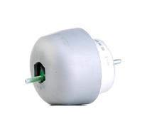 Meyle - 100 199 0048 almacenar, motor