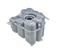 Piezas de motor > Refrigeración de motor > Vaso de expansión, refrigerante