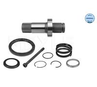 MEYLE 100 498 0242 Eje De Soporte, Diferencial Para VW