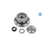 MEYLE 11-14 750 0009 Buje de rueda trasero para 306 Xsara