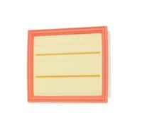 Filtros y aceite > Filtro > Filtro de aire (de coche)