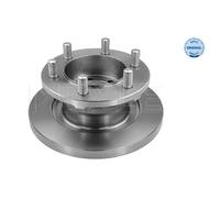 MEYLE 2x Disco de Freno Delantero Ø290 MM Completo para Iveco Daily III