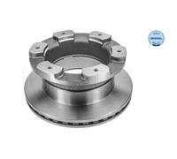 MEYLE 2X Disco De Freno Trasero Ø306 Mm Ventilado Para Iveco Daily IV