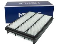 MEYLE Filtro de aire (de coche) para TOYOTA: Land Cruiser, Hilux (Ref: 30-12 321 0029)