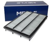 Meyle 32-12 321 0009 Filtro de Aire