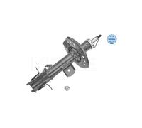 Dirección - Suspensión - Tren > Amortiguadores > Amortiguador