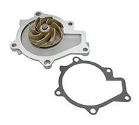 MEYLE Bomba de agua para HYUNDAI: ix35, Santa FÃ© & KIA: Sportage, Carnival, Sorento, Sedona (Ref: 37-13 220 0016)
