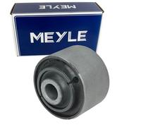 Meyle Almacenar, Brazo