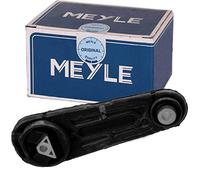 Meyle almacenar, Motor