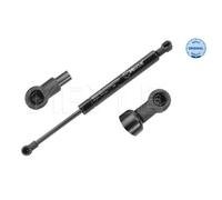 MEYLE Amortiguador De Gas Para Ford Focus Sedán DFW 1.6 16V