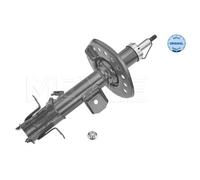 MEYLE Amortiguador Eje Delantero Izquierdo Compatible Para Nissan Juke F15