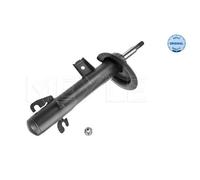 MEYLE Amortiguador Eje Delantero Izquierdo para Mini R50 R53 R52 Cabriolet