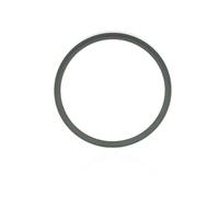 MEYLE Anillo sensor, ABS para RENAULT: Kangoo, MÃ©gane Classic, Laguna, Clio, MÃ©gane, Twingo, MÃ©gane ScÃ©nic, Thalia, Espace (Ref: 16-14 899 0014)