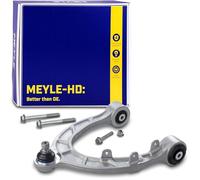 MEYLE Barra oscilante de suspensión de ruedas Delantero, izquierda Brazo oscilante transversal 104432100F 104432100G 104432100H 70-16 050 0009/HD Compatible con TESLA Model 3 5YJ3 Model Y 5YJY