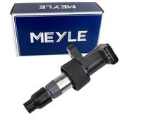 MEYLE Bobina de encendido Unidad De Bobina De Encendido 18-14 885 0001 Compatible con JAGUAR XF J05, CC9 S-Type X200 X-Type Berlina X400 XJ Berlina X350, X358 XJ X35, J12, J24