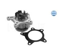 MEYLE Bomba de Agua para Hyundai i30 Fd GD IX35 Lm El Elh i40 Cw VF Tle TL