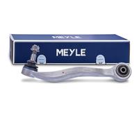 Brazo de control posterior Brazo oscilante transversal 316 050 0017 MEYLE