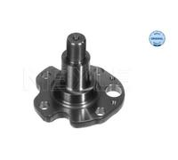 MEYLE Brazo De Control Pivote De Eje Suspensión Trasera Para VW Golf IV 1J1