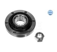 MEYLE Cubo de Rueda Cojinete Delantero Apto para Renault Espace II J S63 J11 B29