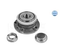 MEYLE Cubo Trasero para Fiat Scudo Caja 220 220L 220P 220 Citroën Jumpy U6U