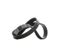 MEYLE 050 006 0950 Correa trapecial poli V