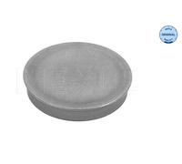 MEYLE Tapa protectora, cubo de rueda para AUDI: TT, A3, S3, A4 & VOLKSWAGEN: Tiguan, New Beetle, Eos, Polo, Golf, Lupo, Passat (Ref: 100 752 0006)