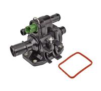 Piezas de motor > Refrigeración de motor > Termostato, refrigerante