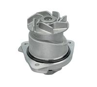 MEYLE Bomba de agua para VOLKSWAGEN: Sharan, Phaeton, Transporter, Golf, Eos, Bora, Touareg & AUDI: TT, A3 & SEAT: Alhambra, Leon (Ref: 113 012 0051)