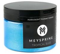 MEYSPRING Pigmento de color de resina epoxi azul tropical, 50 g, ideal para arte de resina, resina epoxi y resina UV, polvo de mica para resina epoxi