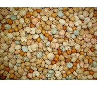 Mezcla de Aperitivo 8 Variedades de Cacahuetes Salados 1kg | Maní Recubierto de Maíz y Semillas de Sésamo y Trigo Frito | Snack Variado Gourmet Apto para Veganos | Dorimed