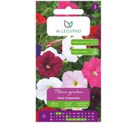 Mezcla de petunias de jardín