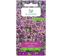 Mezcla de semillas de zanahoria