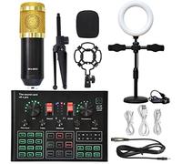 mezclador de audio, PUNDISO Equipo de equipo Tarjeta de sonido Transmisión en vivo Conjunto completo de V8 Live Broadcast Set BM800 Micrófono Fácil de usar y controlar, compatible con PC (Color : 4)