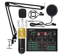 mezclador de audio, PUNDISO Equipo de equipo Tarjeta de sonido Transmisión en vivo Conjunto completo de V8 Live Broadcast Set BM800 Micrófono Fácil de usar y controlar, compatible con PC (Color : 1)