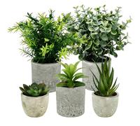 MFUSUL 5 Piezas Plantas Decorativas, Mini Macetas Artificiales Lengua de Serpiente, Agave Suculentas, Aloe Garra de Águila, Artificiales Decorativas para Dormitorio, Baño, Cocina