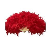 MFWHEFJ Abanico De Plumas Abanico de Plumas esponjosas Grande for Escenario, Accesorios de fotografía for Danza, decoración for Fiestas de Bodas, 70 x 40 cm(Red)